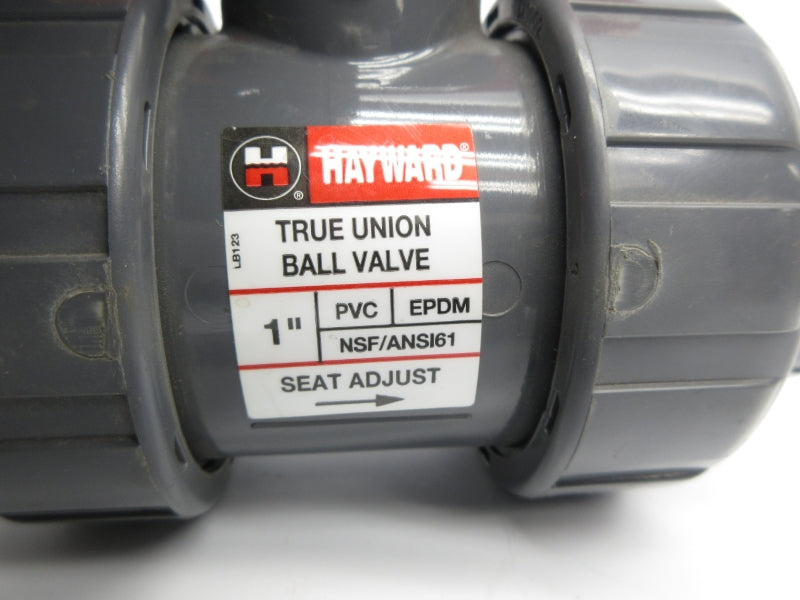 HAYWARD NSF/ANSI61 1" NSNP