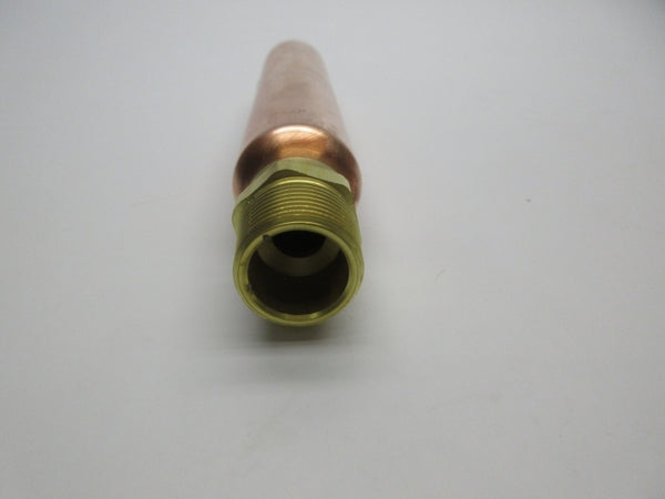 WATTS LF15M2-B 150PSI 3/4" NSNP