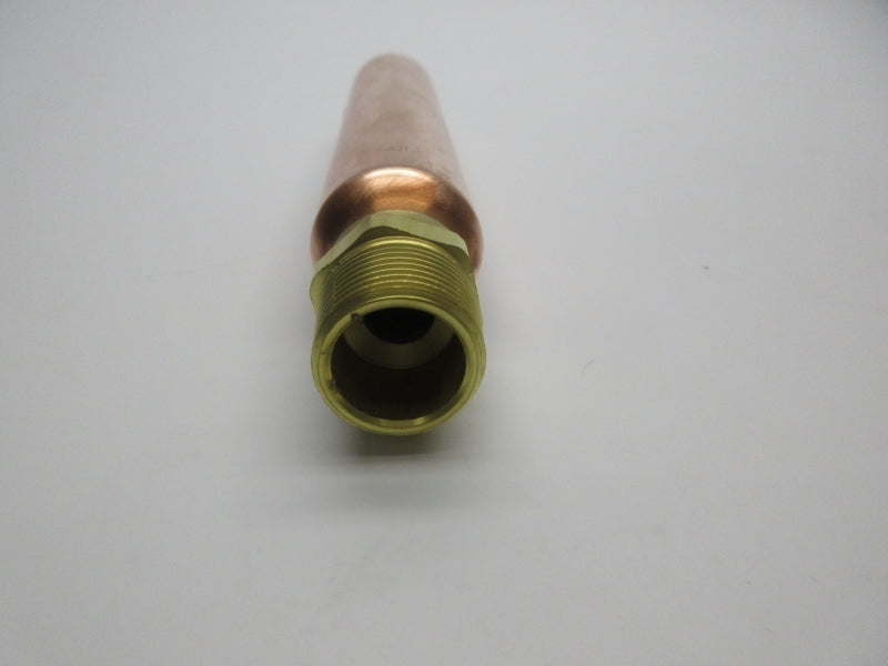 WATTS LF15M2-B 150PSI 3/4" NSNP