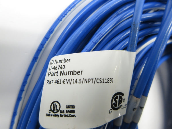 TURCK RKF461-6M/14.5/NPT/CS11891 U-46740 NSNP