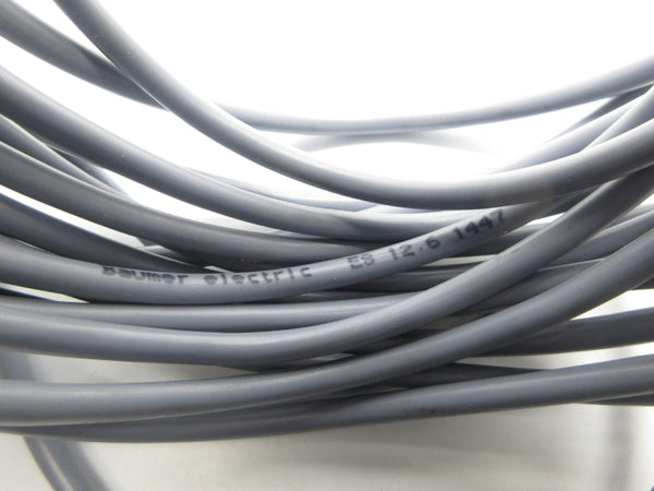 BAUMER ELECTRIC ES12.6 NSNP