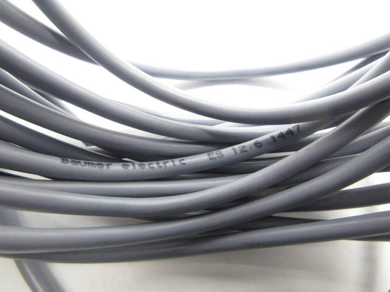 BAUMER ELECTRIC ES12.6 NSNP