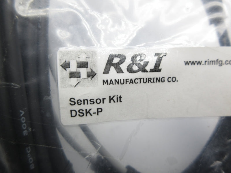 R&I MANUFACTURING DSK-P NSMP