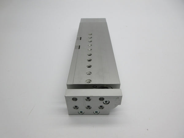 FESTO DGSL-20-150-P1A 544021 NSNP