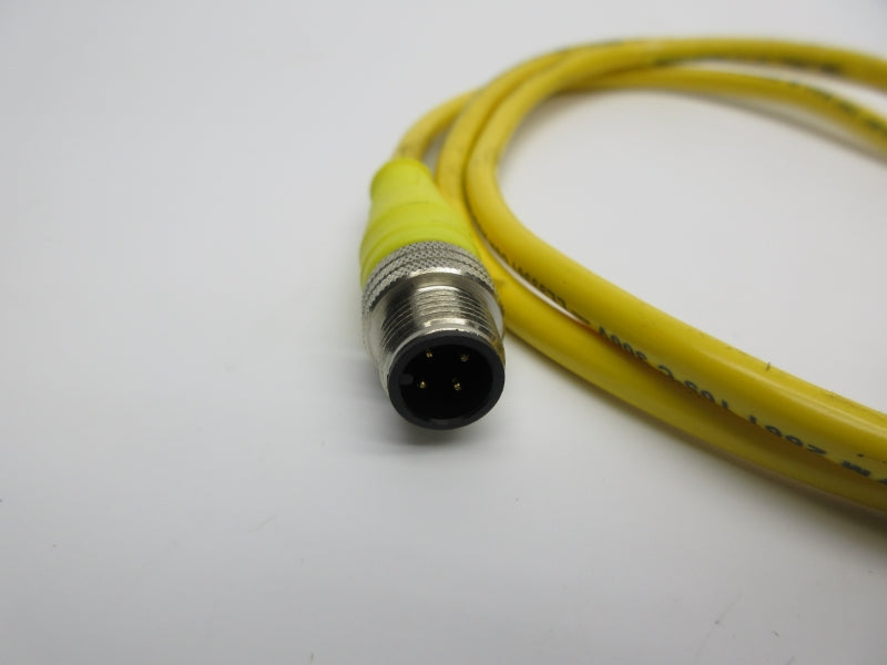 DANIEL WOODHEAD 884031A09M010 250V 4A NSNP