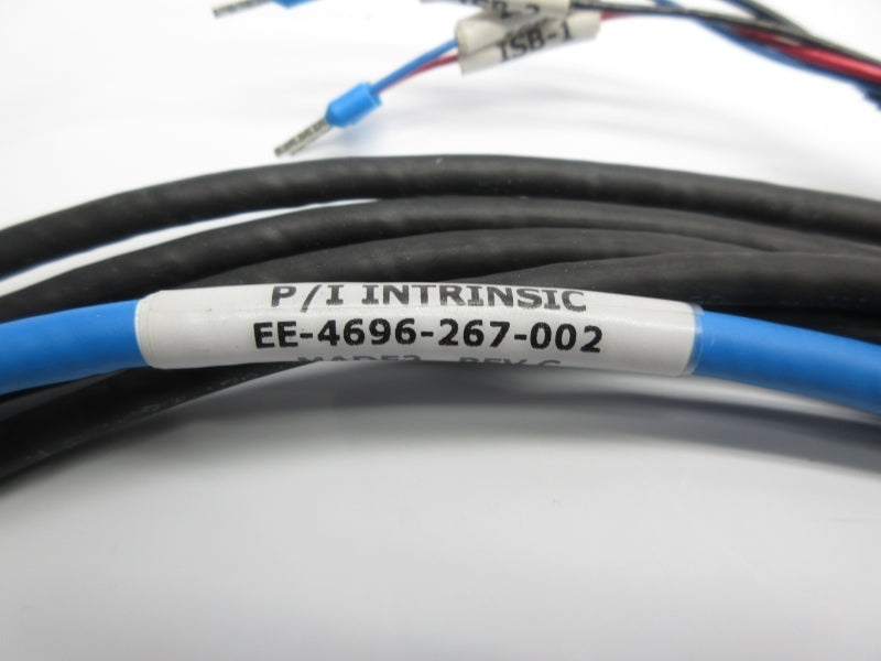 PI INTRINSIC EE-4696-267-002 NSNP