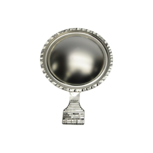 BS&B SAFETY SYSTEMS BV 97070033-1 193PSI 6" NSNP