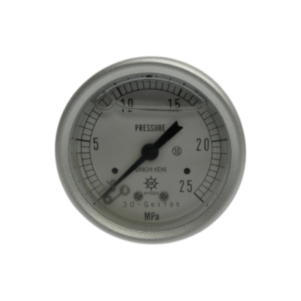 DAIICHI KEIKI 30-G61705 0-25MPA NSNP