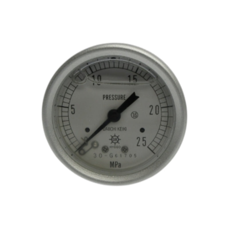 DAIICHI KEIKI 30-G61705 0-25MPA NSNP