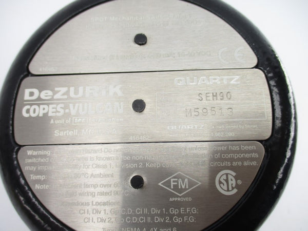 DEZURIK SEH90 125/250VAC 10A NSNP