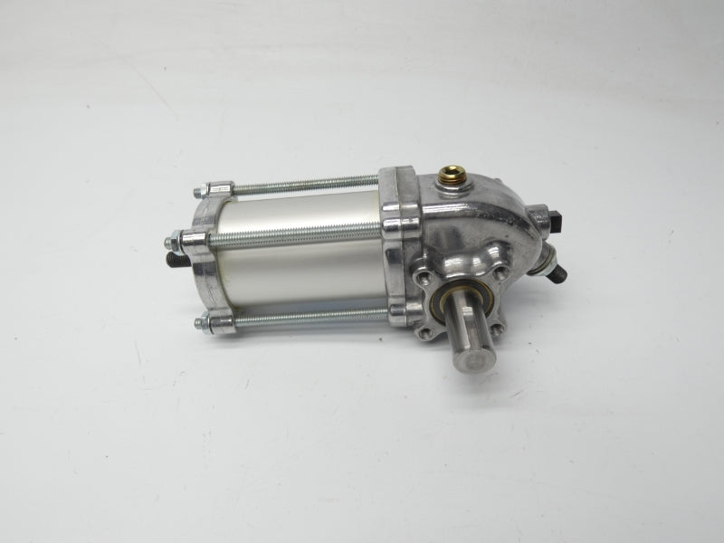 ROTA-CYL ADL2.0X100-0-0 100PSI NSNP