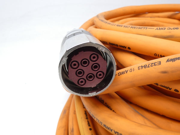 ALLEN BRADLEY 2090-CPBM7DF-10AF30 SER. B NSNP