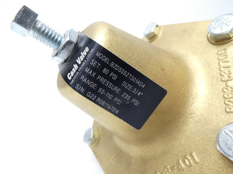 CASH VALVE BZDSSSZTS01AD4 80PSI 3/4" NSNP