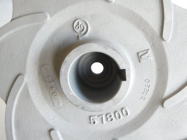 GOULDS PUMP GO101-7540-3SS 2-3/4" 17" NSNP