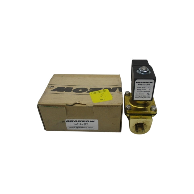 GRANZOW H4B19-00Y 110-120V 0-200PSI 1/2" NSMP