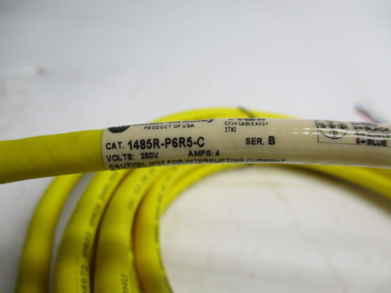 ALLEN BRADLEY 1485R-P6R5-C SER. B 250V 4A NSMP