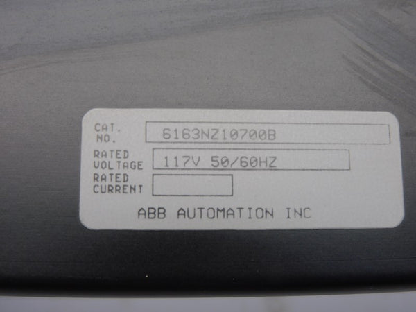 ABB 6163NZ10700B 117V NSNP