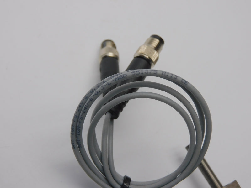 FESTO DGSL-6-10-P1A SMT-10M-PS-24V-E-0.3-L-M8D NUPI