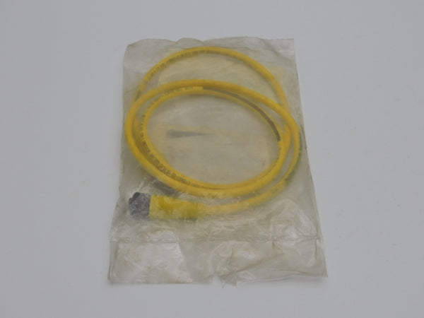 DANIEL WOODHEAD 1200660687 250V 4A NSMP