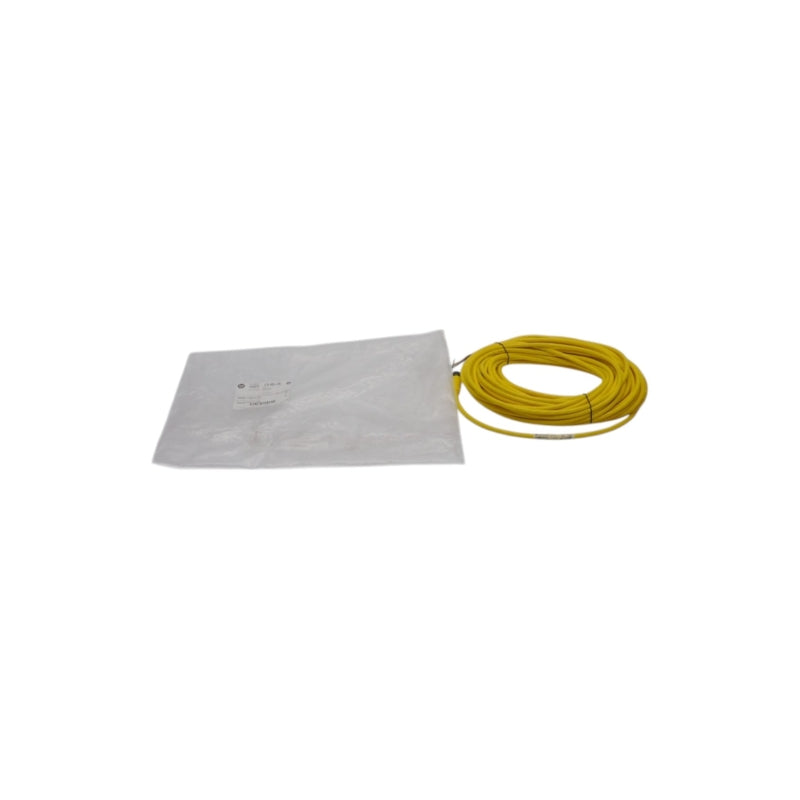 ALLEN BRADLEY 889D-F4AC-20 SER. B 250V 4A NSMP