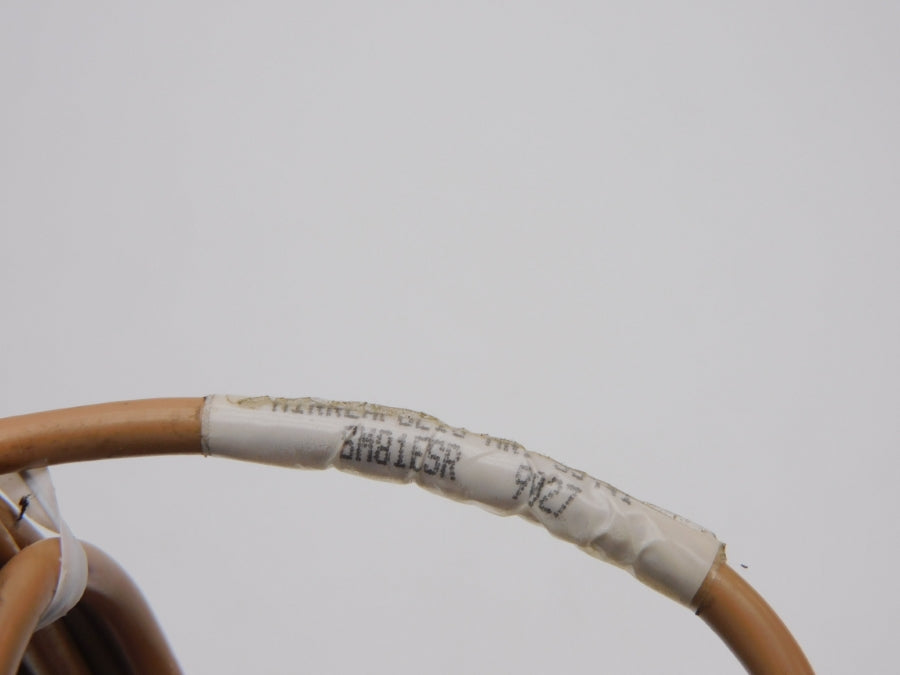 BANNER ENGINEERING SM81ESR NSNP