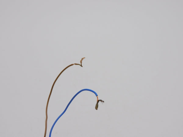 OMRON E3S-AT31-L 10-30VDC UNMP