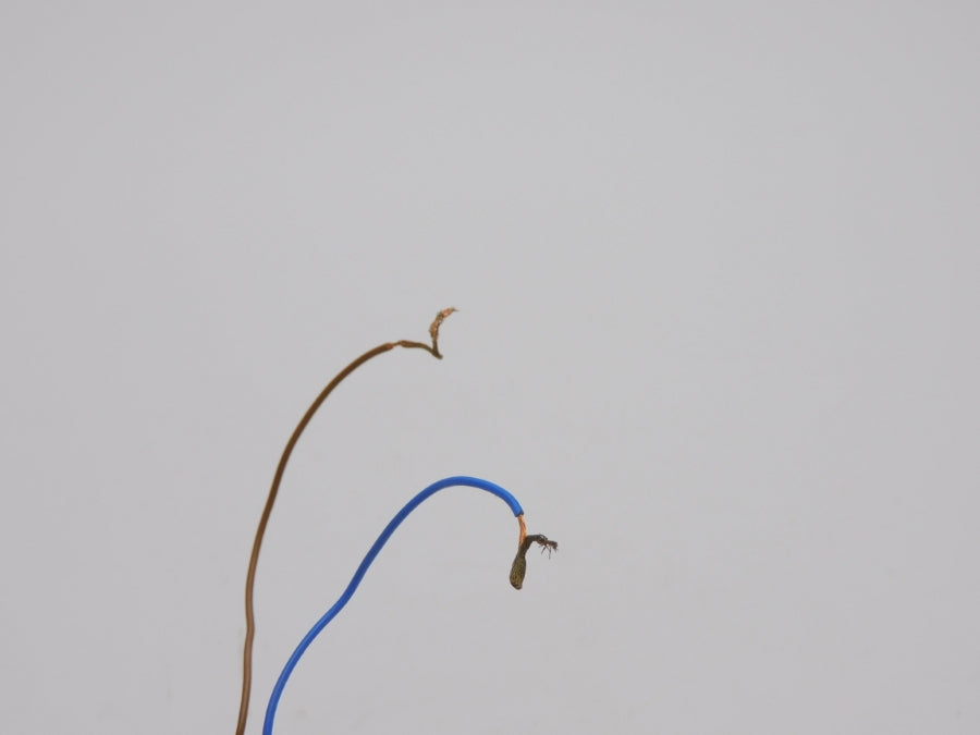 OMRON E3S-AT31-L 10-30VDC UNMP