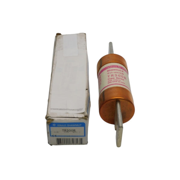 GOULD SHAWMUT TR300R 250V 300A (PINK) NSMP
