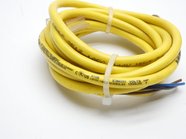 PEPPERL+FUCHS E300203 125VAC/DC 4A UNMP