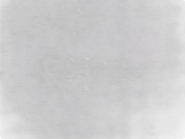 ADVANCED DL072-WHI24 AXIAL DIFFUSE ILLUMINATOR  NSMP