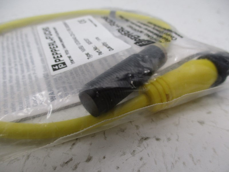 PEPPERL+FUCHS 905037 NMB2-12GM40-Z3-C-FE-300MM-V1 NSMP