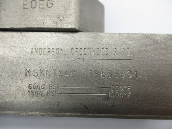 ANDERSON GREENWOOD M5KHTS46 D19636001 6000PSI UNMP