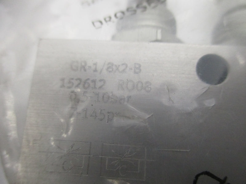 FESTO GR-1/8X2-B 152612 7-145PSI NSMP