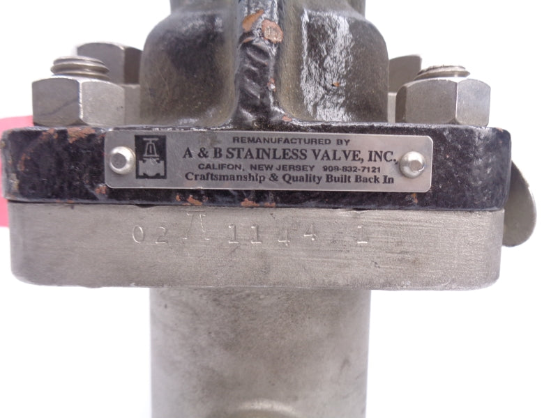 A&B STAINLESS VALVE SV666-4038 2" NSNP