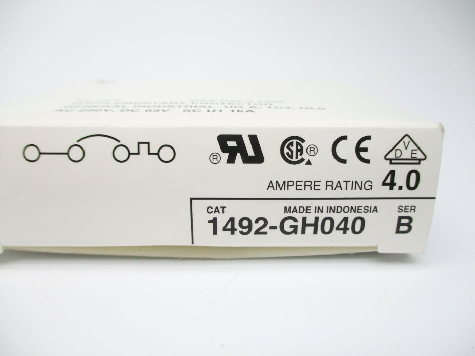 ALLEN BRADLEY 1492-GH040 SER. B 250VAC 4.0A NSMP