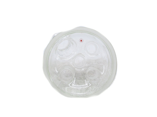 ACE GLASS 6530-28 NSMP