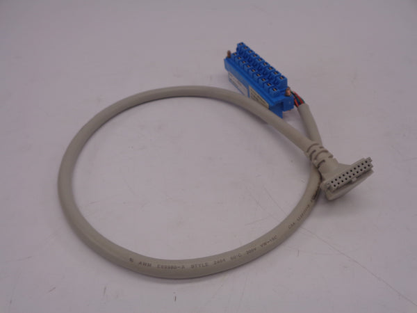 ALLEN BRADLEY 1492-CABLE005B SER. C (BR/WH) NSMP