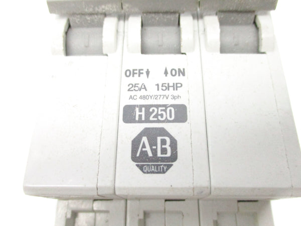 ALLEN BRADLEY 1492-CB3H250 SER. C 25A 277V UNMP