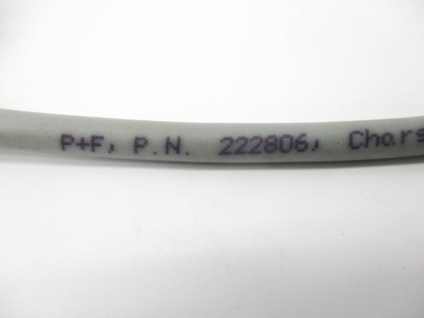 PEPPERL+FUCHS 222806 NSNP