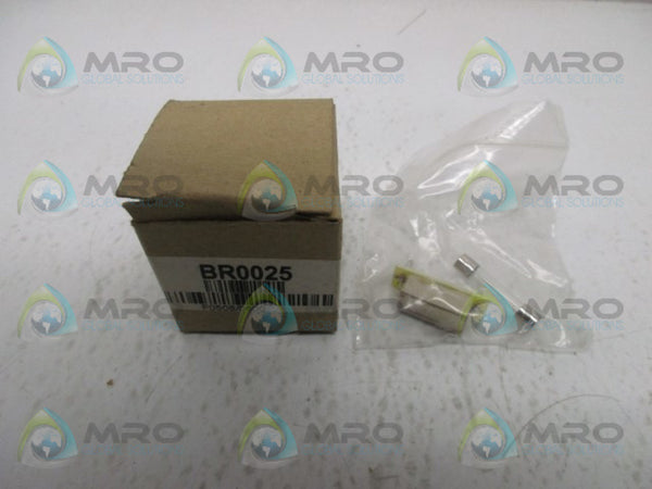 ABB BR0025 PLUG IN HORSEPOWER RESISTOR  NSMP