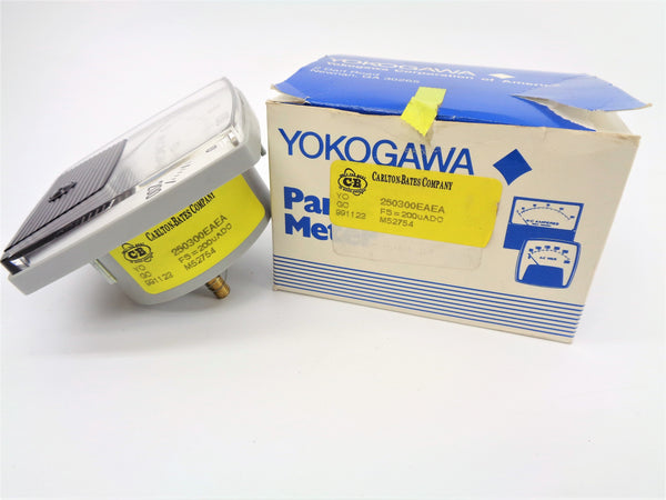 YOKOGAWA 250300EAEA NSMP