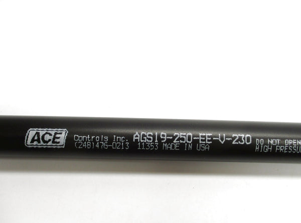 ACE CONTROLS AGS19-250-EE-V-230 NSNP