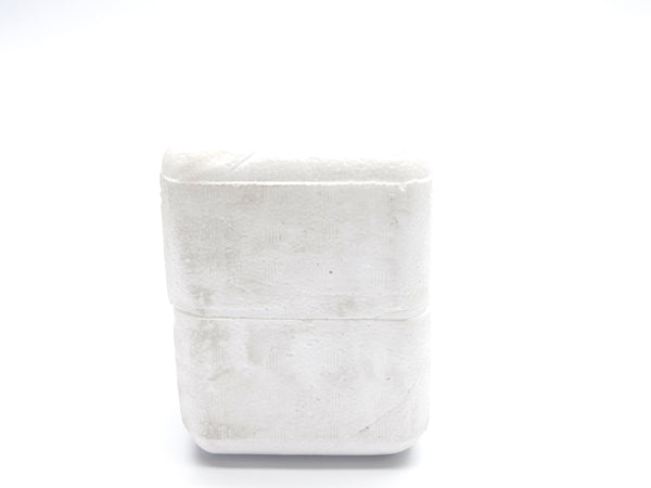 AGASTAT 7012AA 120VAC NSFS